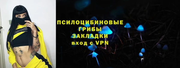 дмт Алзамай